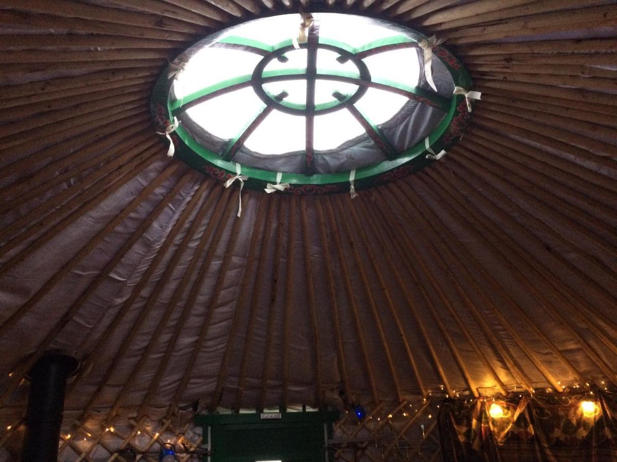 The Tall Pines Yurt Helmsdale Exterior photo